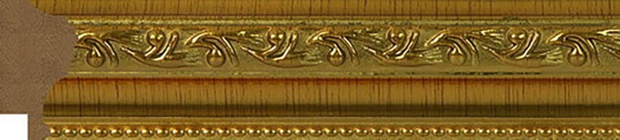 16 in x 20 in Antique Gold Polystyrene French Country Classic Picture Frames