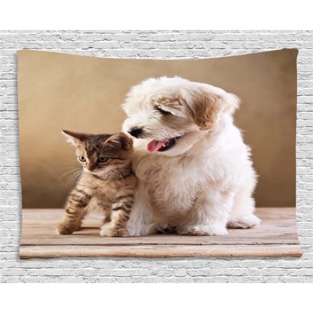 Animal Tapestry, Cute Baby Cat Kitten and Puppy Dog Best Friends Image Photo Artwork, Wall Hanging for Bedroom Living Room Dorm Decor, 60W X 40L Inches, Sand Brown Cream and White, by