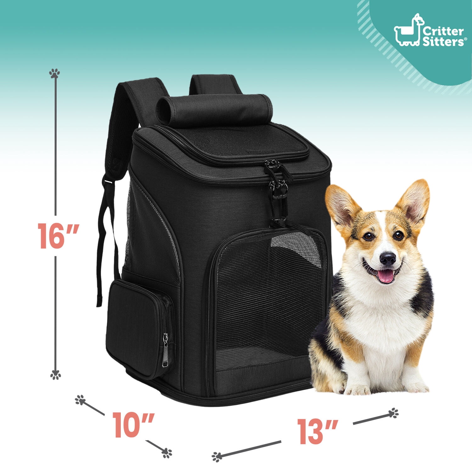 Critter Sitters Black Pet Backpack for Small Dogs, Cats with Scratch Resistant Breathable Mesh Windows | Airline Carry-On Approved | Safety Leash | Storage Pockets | Durable Transporation for Animals
