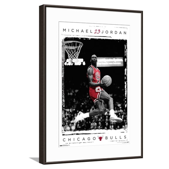Michael Jordan - Dunk Canvas Wall Poster, 14.725" x 22.375"