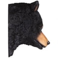 thumbnail image 6 of Design Toscano American Black Bear Sculptural Wall Trophy, 6 of 7