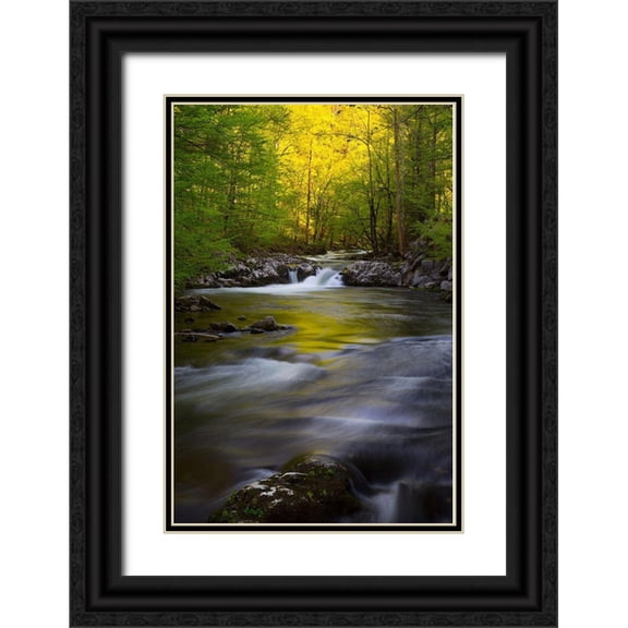Wells, Joanne 23x32 Black Ornate Wood Framed with Double Matting Museum Art Print Titled - Tennessee Great Smoky Mountains National Park-Little River