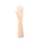 thumbnail image 4 of Mano de maniquí femenina, accesorio fotográfico, modelo de mano extendida Mano izquierda, 4 of 9