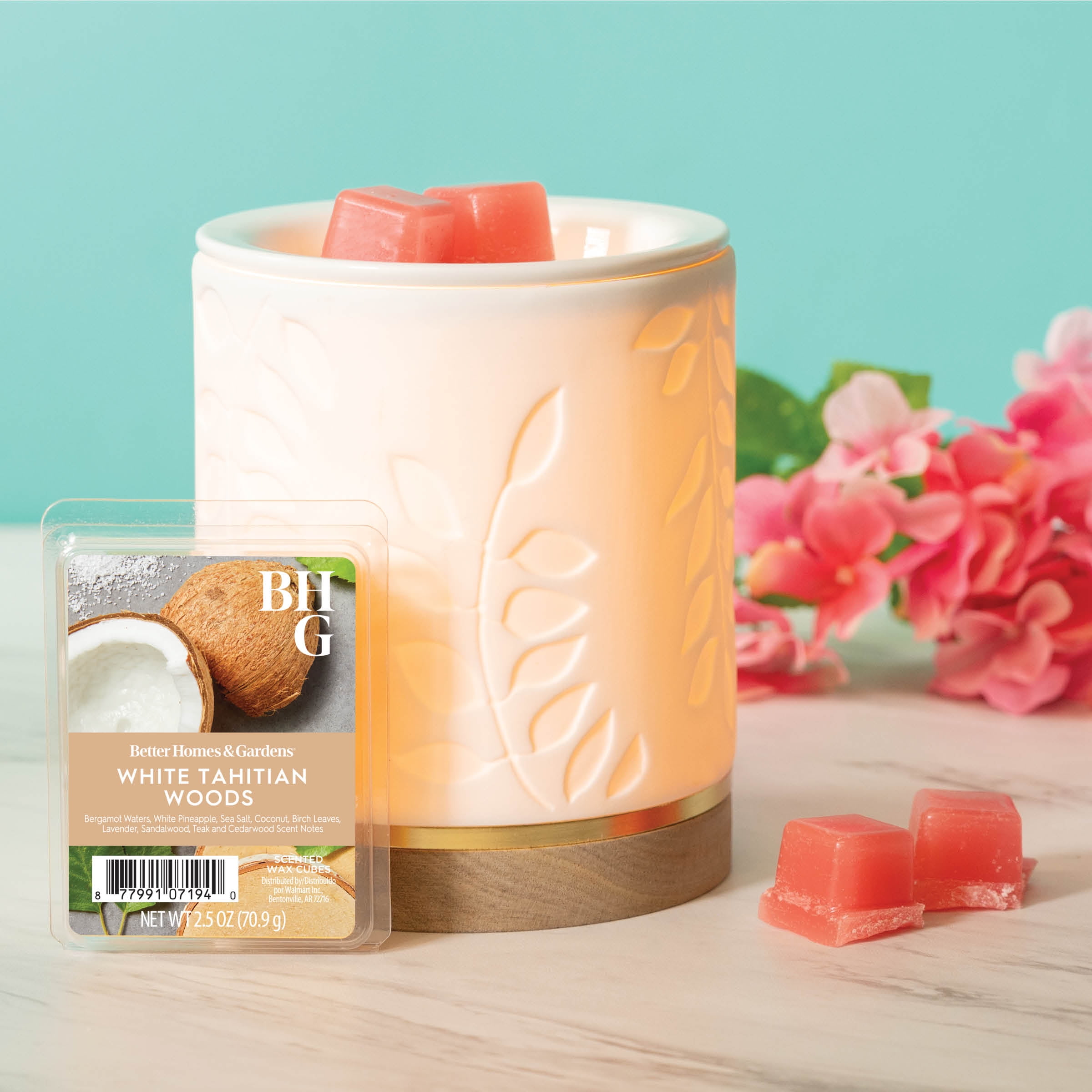 トップス WaxTheVan Orchard Lane T-Shirt in Black | Vans