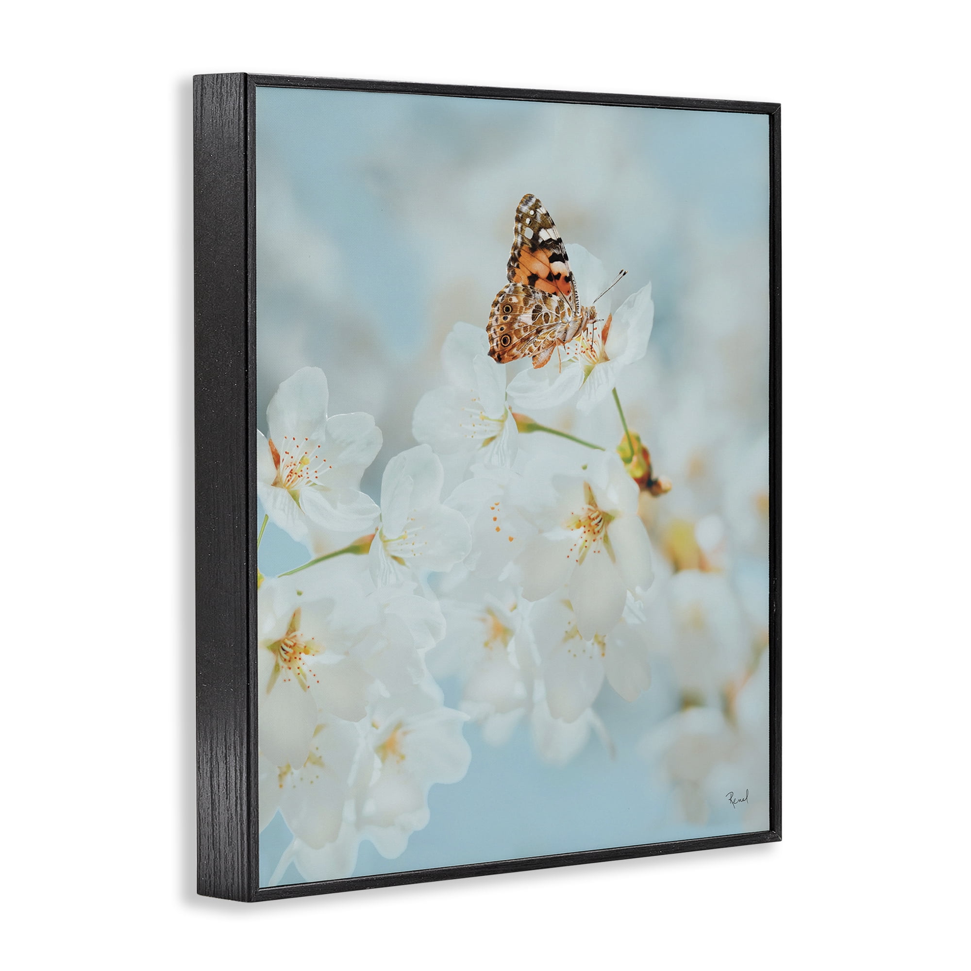 Stupell Industries Pale Blossoms & Butterfly Animals & Insects Photography Black Framed Art Print Wall Art, 16 x 20