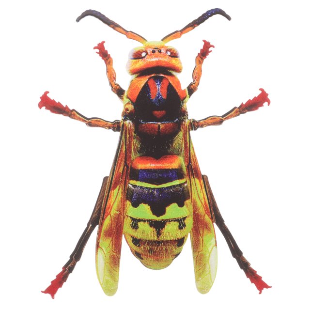 MasteelfCA Décoration Murale Insecte Figurine Simulée Métal Décoration Murale Insecte