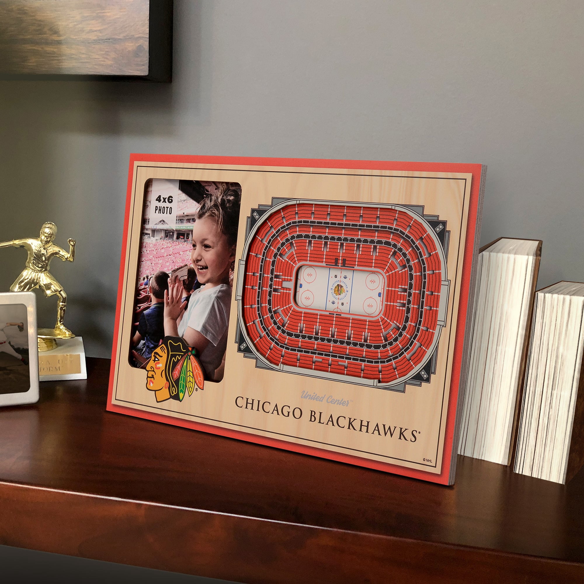 Chicago Blackhawks 3D StadiumView Picture Frame