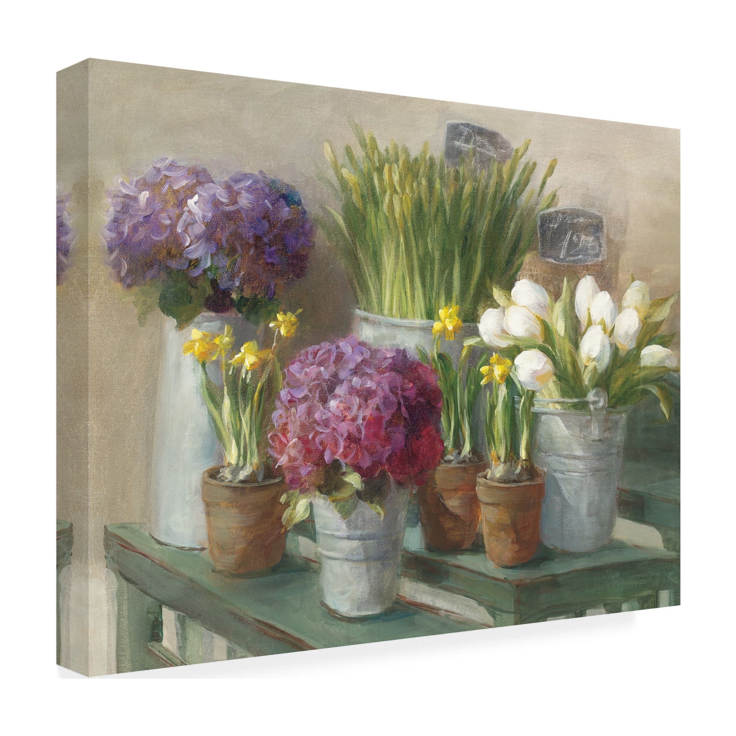 Trademark Fine Art 'Les Fleurs Printemps' Canvas Art by Danhui Nai
