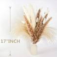 thumbnail image 4 of Pampas Grass Boho Decor,Natural Dried Flowers Carefully Hand-Picked Fluffy Pompas Grass 17", White & Brown Pampas Grass, Reed, Perfect for Home Decor, Fall Decor and Wedding Decorations, 4 of 6