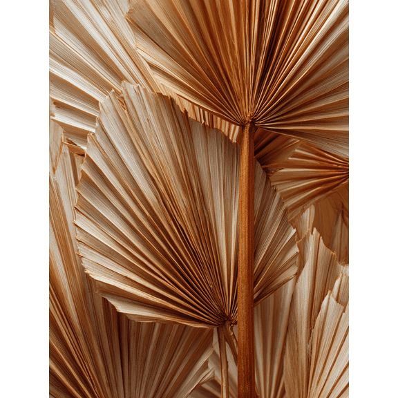 Dried Palm Leaf Canvas Print Wall Art for Living Room Bedroom Kitchen Office Entryway