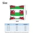 thumbnail image 4 of Welsh Dragon Flag Couch Square Decorative Throw Pillow Covers Set of 2 for Sofa Bed Cushion Covers Home Decor 20"x20", 4 of 7