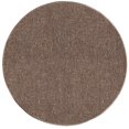 thumbnail image 1 of Broadway Collection Kids Favorite Indoor Outdoor Area Rug Brown - 10' Round, 1 of 5