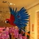 thumbnail image 2 of 2x Pájaro Ornamento Decorativo Fotografía de Navidad Jardinería Universal perfecl Pájaro artificial, 2 of 6