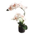 thumbnail image 1 of Cheers Artificial Phalaenopsis Flower Fake Plant Bonsai Home Office Shop Cafe Decor, 1 of 7