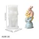 thumbnail image 3 of Sitting Rabbits Silicone Easters Mould For Handmade Candle Resin Home And Crafting Activity, 3 of 4