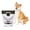 White with Smoke Hopper, variant on Feeder-Robot by Whisker, Black with Smoke-Grey Hopper; Smart, Automatic Pet Feeder, Feed Your Cat and Dog from Anywhere, Designed & Assembled in USA