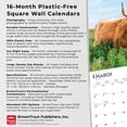 thumbnail image 6 of Highland Cows | 2026 12x24" (Hanging) Square Wall Calendar | Plastic-Free, 6 of 9