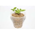 thumbnail image 2 of Experience Superior Plant Growth with Gardenera Labs Half and Half Mix of Perlite and Vermiculite - Nature's Best for Optimal Nutrient Retention - 3 Quart, 2 of 3