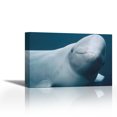 thumbnail image 1 of Beluga, Vancouver Aquarium, Canada - Contemporary Fine Art Giclee on Canvas Gallery Wrap - wall d?cor - Art painting - 27 x 18 Inch - Ready to Hang, 1 of 2