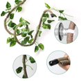 thumbnail image 3 of Enredaderas y hojas flexibles para reptiles 8FT Coolrunner, 3 of 7