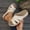 Beige, variant on Karight Women's Fashion Casual Summer One-Line Hollow Fish Mouth Wedge Heel Casual Outdoor Sandals