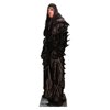 Advanced Graphics 1595 Undertaker - WWE