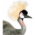 thumbnail image 2 of McCavitt, Naomi 15x17 White Modern Wood Framed Museum Art Print Titled - Watercolor Crested Crane, 2 of 4
