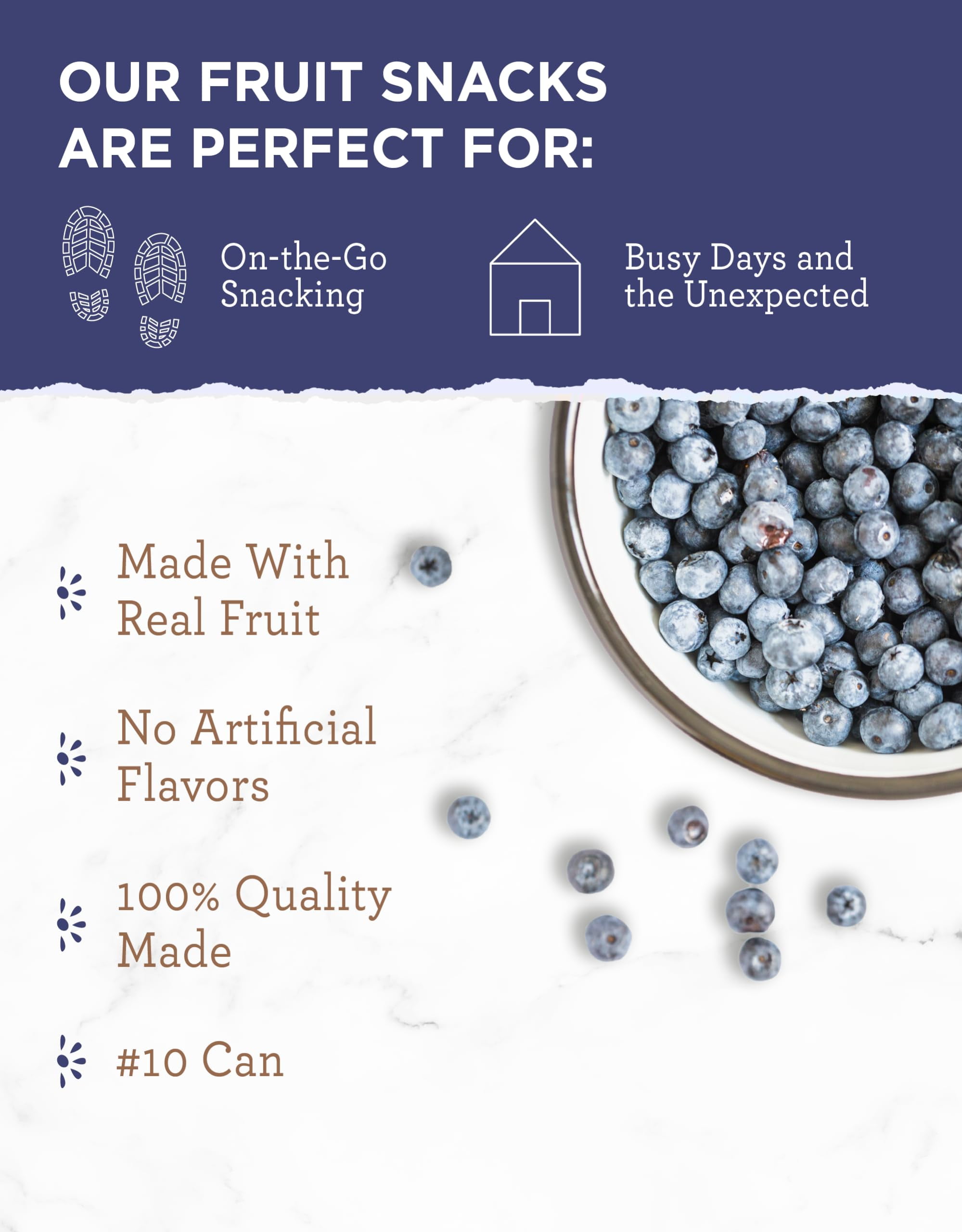 ReadyWise Dehydrated Blueberries for Smoothies & Snacks, 28 Servings