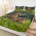 thumbnail image 4 of Erosebridal Funny Capybara Bed Sheets,Wild Rodent Animals King Sheets For Kids Teens 4-Piece, 4 of 6