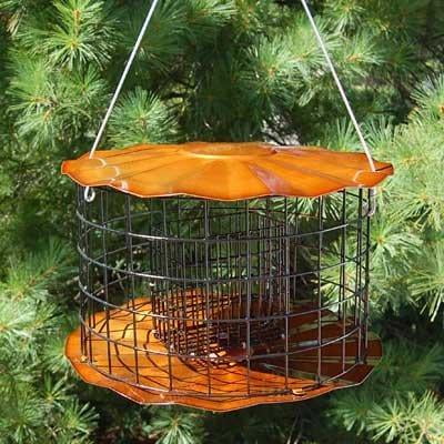 squirrel proof double oversize suet cake feeder-copper tint - Walmart.com