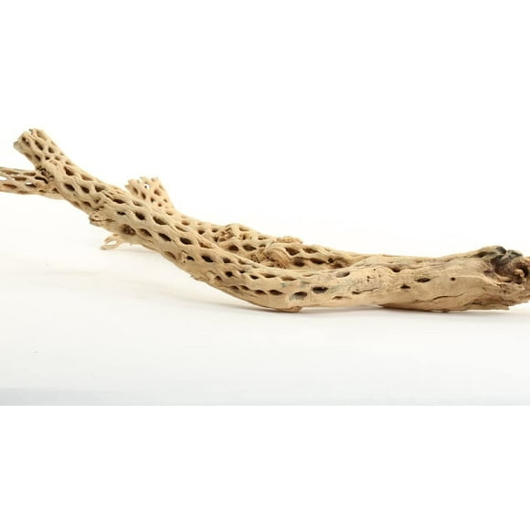 Cholla Wood Aquarium