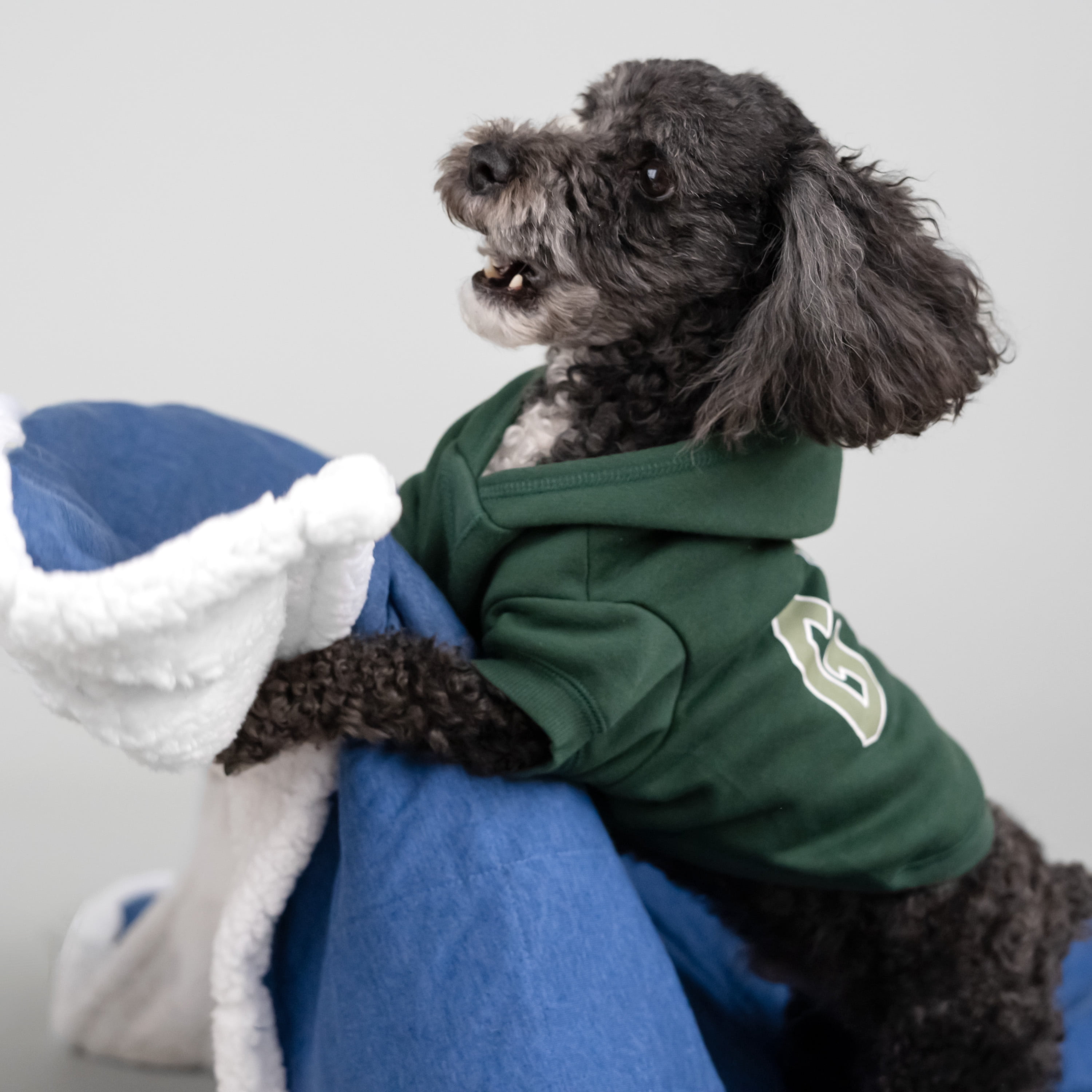 Gap Pet Dog Clothes, Classic Gap Logo Pet Hoodie, Green, Large