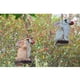 thumbnail image 4 of Columpio Animal decoración artesanal árbol colgante hogar jardín estatua estatuilla Decoración Conejo 2 Sharpla Decoración de animales de resina, 4 of 8