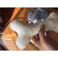 thumbnail image 5 of Juguete de peluche hueso muñeca regalo perro artificial comida para perros mordida muñeca creativa almohada juguete para mascotas-cebolla china verde-Dontodent Kuyhfg Sin marca, 5 of 5