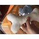 thumbnail image 5 of Juguete de peluche hueso muñeca regalo perro artificial comida para perros mordida muñeca creativa almohada juguete para mascotas-cebolla china verde-Dontodent Kuyhfg Sin marca, 5 of 5