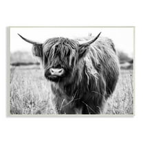 Stupell Industries Monochrome Farmland Longhorn Cattle Cow Photography Wood Wall Art, 19 x 13, Design by Amy Brinkman
