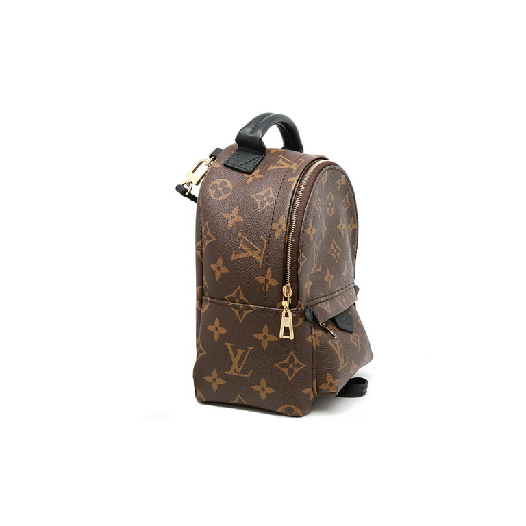 Louis Vuitton Monogram Canvas Palm Springs Mini Backpack