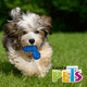 thumbnail image 5 of Fancy Pets Juguete Satélite Sound Tamaño Chico para Perro Fancy Pets FL9430, 5 of 5