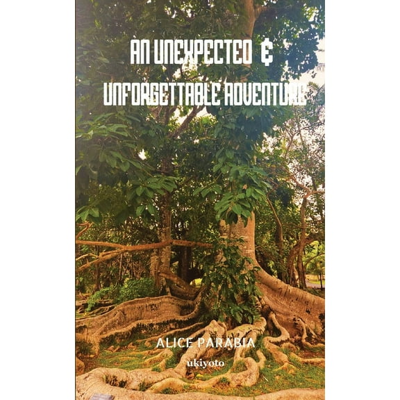 An unexpected & unforgettable adventure, (Paperback)