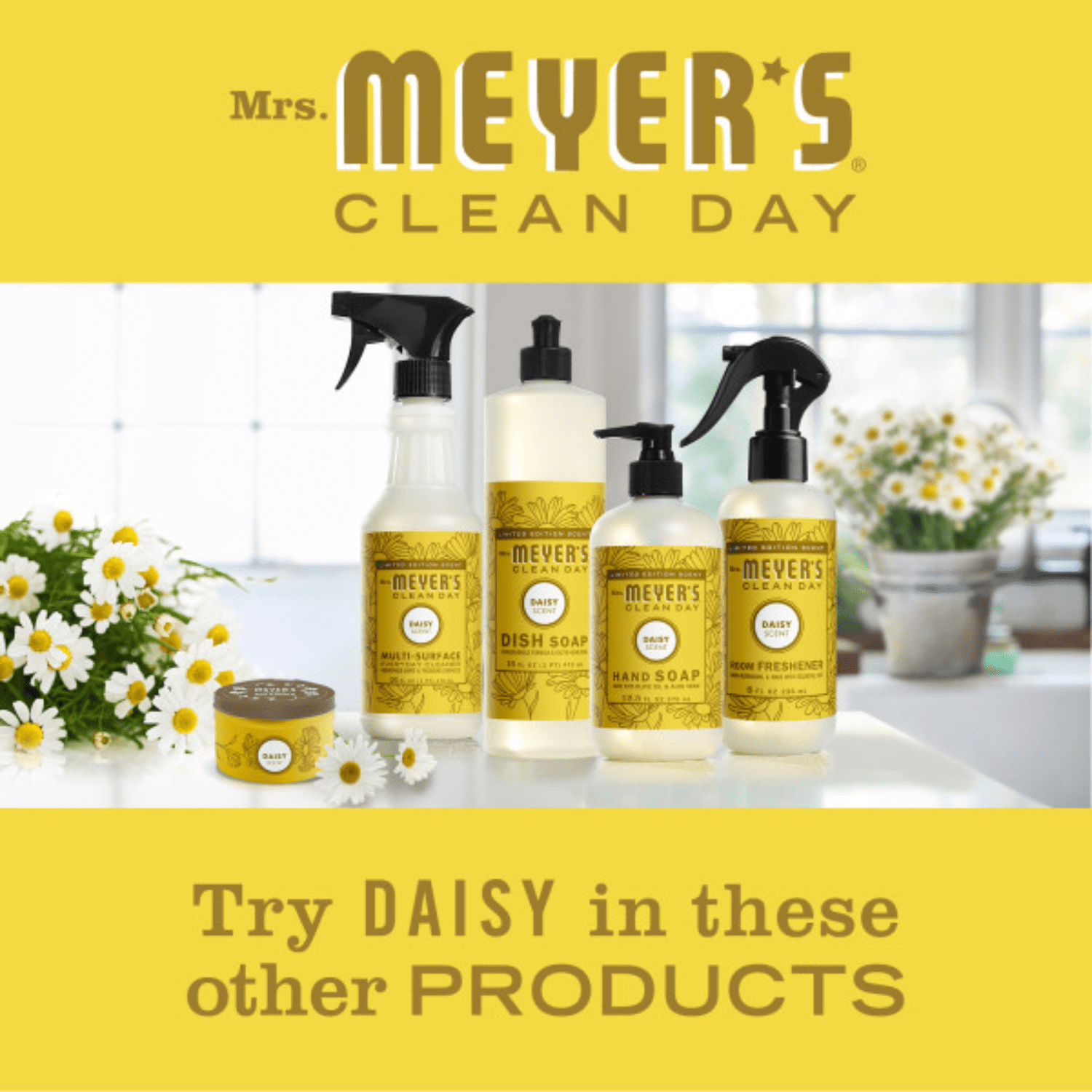 Mrs. Meyer's Clean Day Liquid Hand Soap, Daisy Scent, 12.5 oz (Pack of 4)