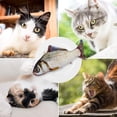 thumbnail image 4 of Juguetes eléctricos para gatos, pez para gato con hierba gatera, pez para gatos que se mueve, juego interactivo, pez retorcido, juguete para gato, recargable por Usb, 4 of 5