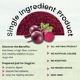 thumbnail image 3 of OLEWO Dehydrated Red Beets Skin & Coat Dog Food Toppers, Dog Vitamins, 1 lb, 3 of 9