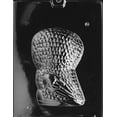 thumbnail image 2 of Grandmama's Goodies A070A & B 2 Piece 3D Owl Chocolate Candy Soap Mold with Exclusive Molding Instructions, 2 of 2