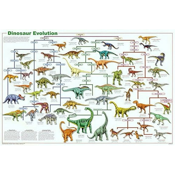 Laminated Dinosaur Evolution Poster 24x36