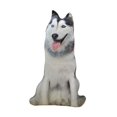 thumbnail image 1 of Cojín decorativo con forma de perro estampado, cojín de suelo, juguete divertido de 89 cm. Fornido, 1 of 9