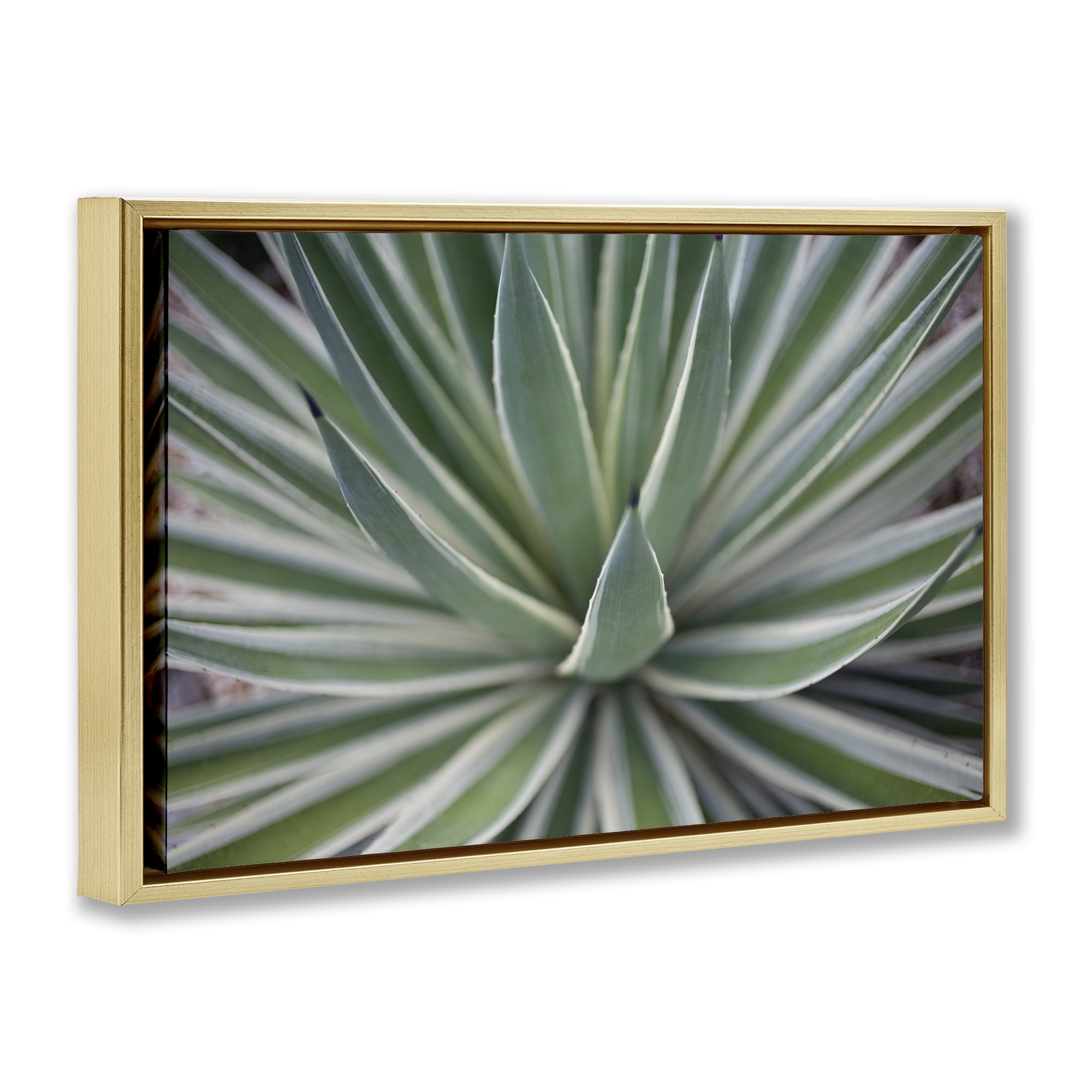 Stupell Industries Striped Plant Leaves Botanical & Floral Photography Gold Floater Framed Canvas Art Print Wall Art, 25 x 17