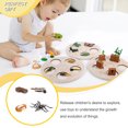 thumbnail image 2 of Bewildely 1 Juego de modelo de gusano de pala, Material plástico Premium, figuritas de insectos significativas, modelos de crecimiento educativo temprano Juguetes Educativos mosquito tipo 1 NO22 Bewildely FN010083-22, 2 of 6