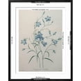 thumbnail image 5 of Art.com Bellflower Art Print by Pierre-Joseph Redoute, Black Frame Wall Art, 23" x 29", 5 of 5