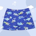 thumbnail image 2 of RUTAYY Boys Swim Trunks Beach Bathing Suit Toddler Swimsuit Swimwear Pool Resort Beachwear, One Size, 2 of 3
