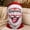 C, variant on Christmas Santa Ski Balaclava,Funny Santa Face Full Face Cover, Winter Thermal Windproof Headwear for Skiing Outdoor Sports,#D